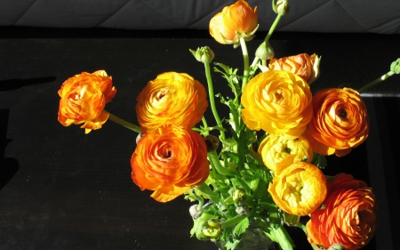 Ranunculus - yellow, green, orange, flower, bouquet, ranunculus