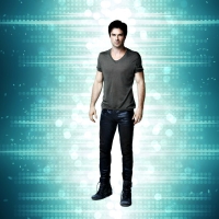 Ian Somerhalder as Damon
