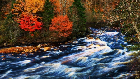 fast moving creek in autumn - autumn, creek, forest, rapids, rocks