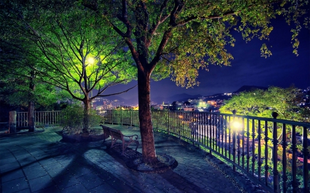 Amazing Bench Scene! - trees, nature, amazing, scene, bench