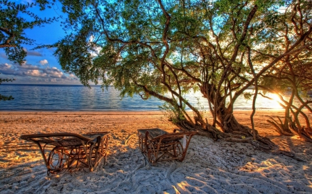 rattan chairs under a tree on a beach hdr - beach, tree, hdr, chairs, sea, sunrise