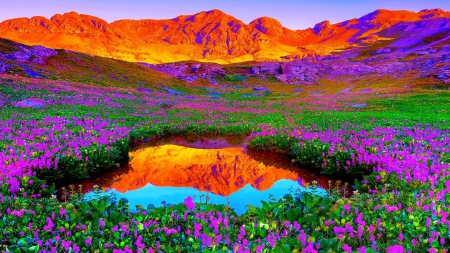 brilliant colors of nature - flowers, pond, meadow, colrs, mountains, reflection