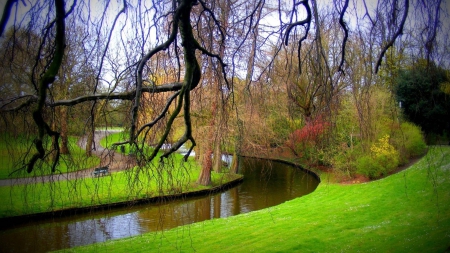 branches hanging over a creek in a park - branches, trees, park, bench, grass, creek