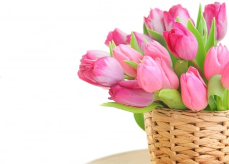 With Love - tulips, pink tulips, for you, basket, with love, nature, petals, tulip, flowers