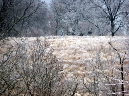 Frosty Hilltop - Hill, Winter, Snow, Nature