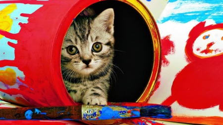 Little painter - cat, pet, paiter, kitten