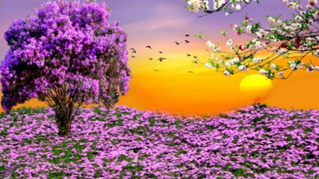 ~*~ Spring Sunset ~*~ - sunset, flowers, flowery field, birds, spring