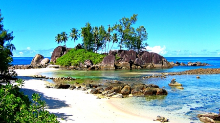 Beautiful Little Beach - morning, calm, islands, palms, seychelles, sand, sea, rocks