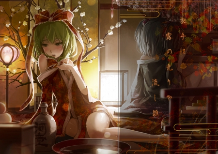 Define Disturbment - anime, female, dress, anime  girl, lamp, green hair, light, emotional, dark, oriental, touhou, sad, ribbon, sorrow, gown, serious, girl, flower, eerie