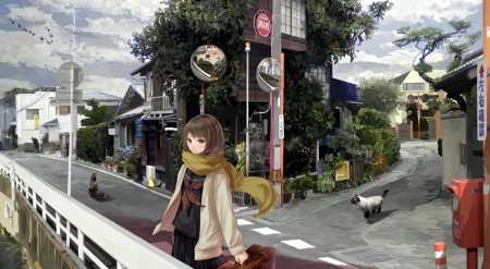 Jazz and the North Wind - nice, street, sky, female, anime girl, road, pretty, cloud, anime, scene, scenic, cat, girl, kitty, scarf, lovely, kitten, hd, scenery, sweet