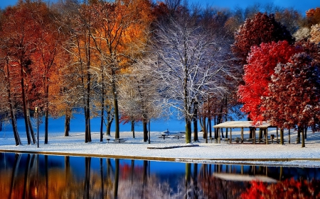 First Snow - winter, snow, first, tree, park