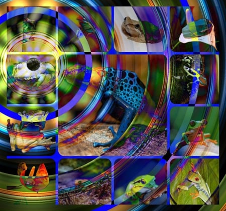 FROG VORTEX - effects, collage, vortex, frogs