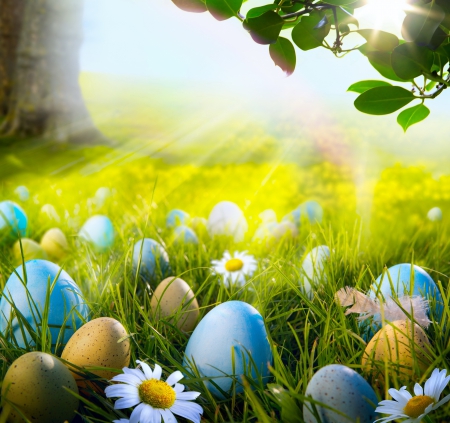 Easter Time - sunshine, photography, easter, meadow, colored, spring, eggs, love four seasons, holiday, green, colors, flowers, daisies, grass, cute, hunt