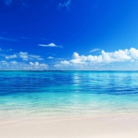 Sea