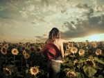 Cowgirl and Sunflowers