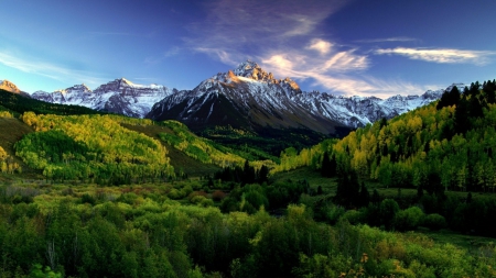 colorado mountains on a spring morning - forests, snow, morning, mountains, sky