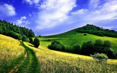 rolling hills - fun, fields, nature, cool