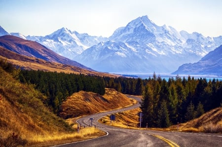 Mountain Road - firs, landscape, lonely, trees