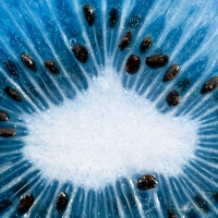 Blue Kiwi Macro