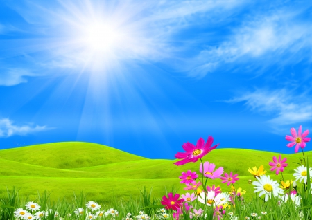 Spring Meadow - sky, sunshine, green, field, meadow, flowers, grass, spring