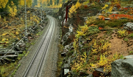 Railway - nature, railway, train, trees