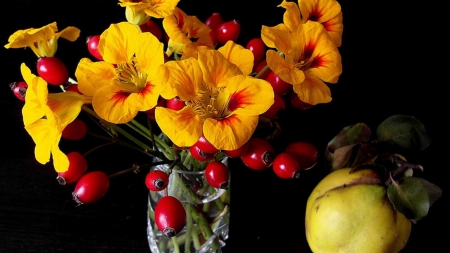 Autumn beauty - flower, fruit, dtilllife, autumn