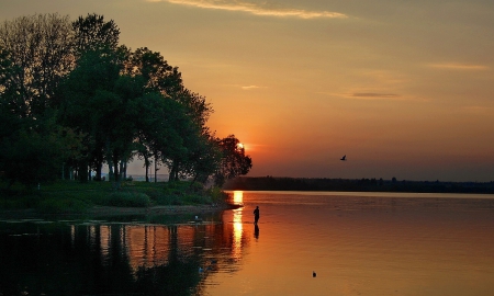 Sunset - amazing, sunset, trees, river