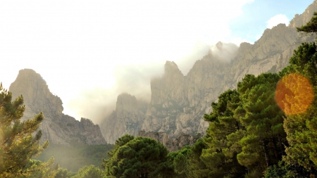 fog over cliffs in corsica - cliffs, forest, mountains, fog