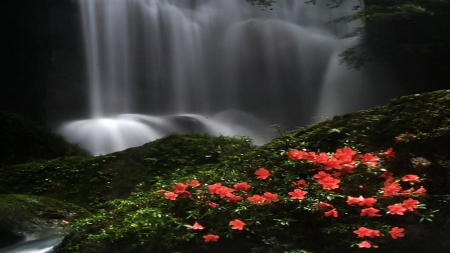 Nature - stream, nature, fresh, flower