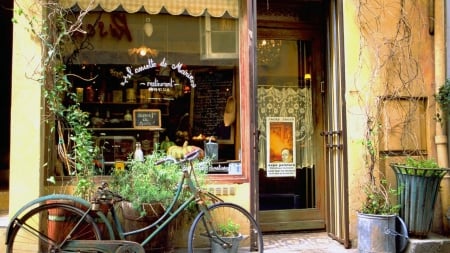 bicycle in front of a french restaurant - restaurant, bike, window, plants