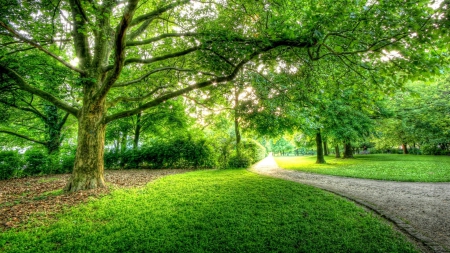 beautiful park in berlin hdr - path, trees, hdr, lawn, park