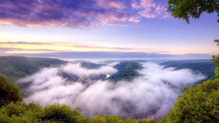 Beautiful Atmopshere - sky high view, sky, trees, clouds