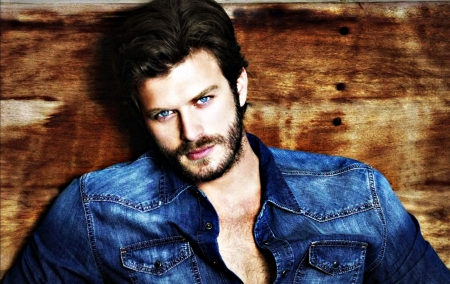 Kivanc Tatlitug - wood, turkish, man, jeans, blue, kivanc tatlitug, actor