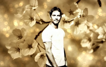 Paul Walker - flower, paul walker, spring, sepia, by cehenot, actor, man