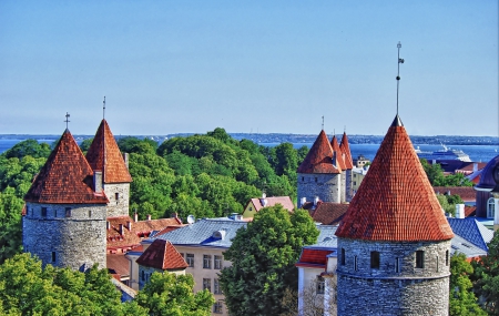 Tallinn, Estonia - trees, cities, tallinn, city, old, estonia