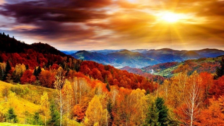 Forest sunset - forest, mountains, heaven, clouds, tree, trees, sunset, nature, autumn