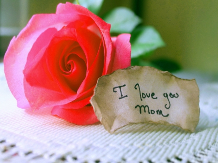 I love you Mom