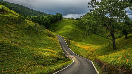 winding road through green hills - trees, hills, road, grass, winding