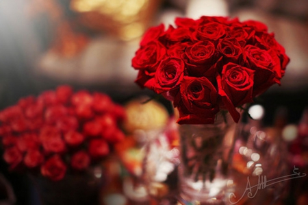 Vase of beautiful red roses - love, roses, bouquet, vase, beautiful roses, red velvet, home style, red passion, favourite, red roses