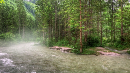 beautiful flowing river in fog hdr - flowing, forest, river, fog, hdr, shore