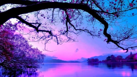 tree over a lake in purple shades - sky, lake, purple, trees