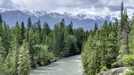 river in maligne canyon in jasper np canada - canyon, forest, river, clouds, mountains, bridge