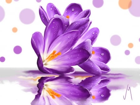 Crocus - crocus, delicate, lovely, spring, painting, art, reflection, pretty, beautiful, flowers