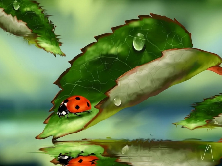 Grean leaf - pretty, beautiful, drops, spring, lovely, reflection, plant, green, painting, rain, ladybird, leaf, art