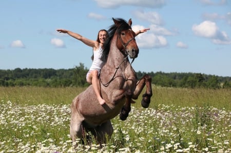 Happy summer - image, girl, expression, color, horse, new, wallpaper