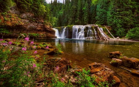 Waterfall - nature, forest, river, waterfall, flower