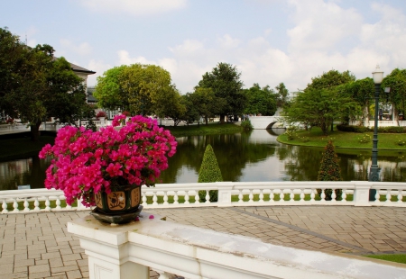 Beautiful park in Thailand - nature, park, lake, flowers