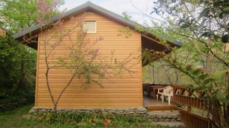 Cabin - flower, tree, cabin, mountain