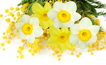 Spring Flowers - flowers, white, mimosa, yellow, spring, daffodils