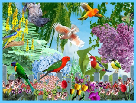 BIRD PARADISE - creation, abstract, garden, birds